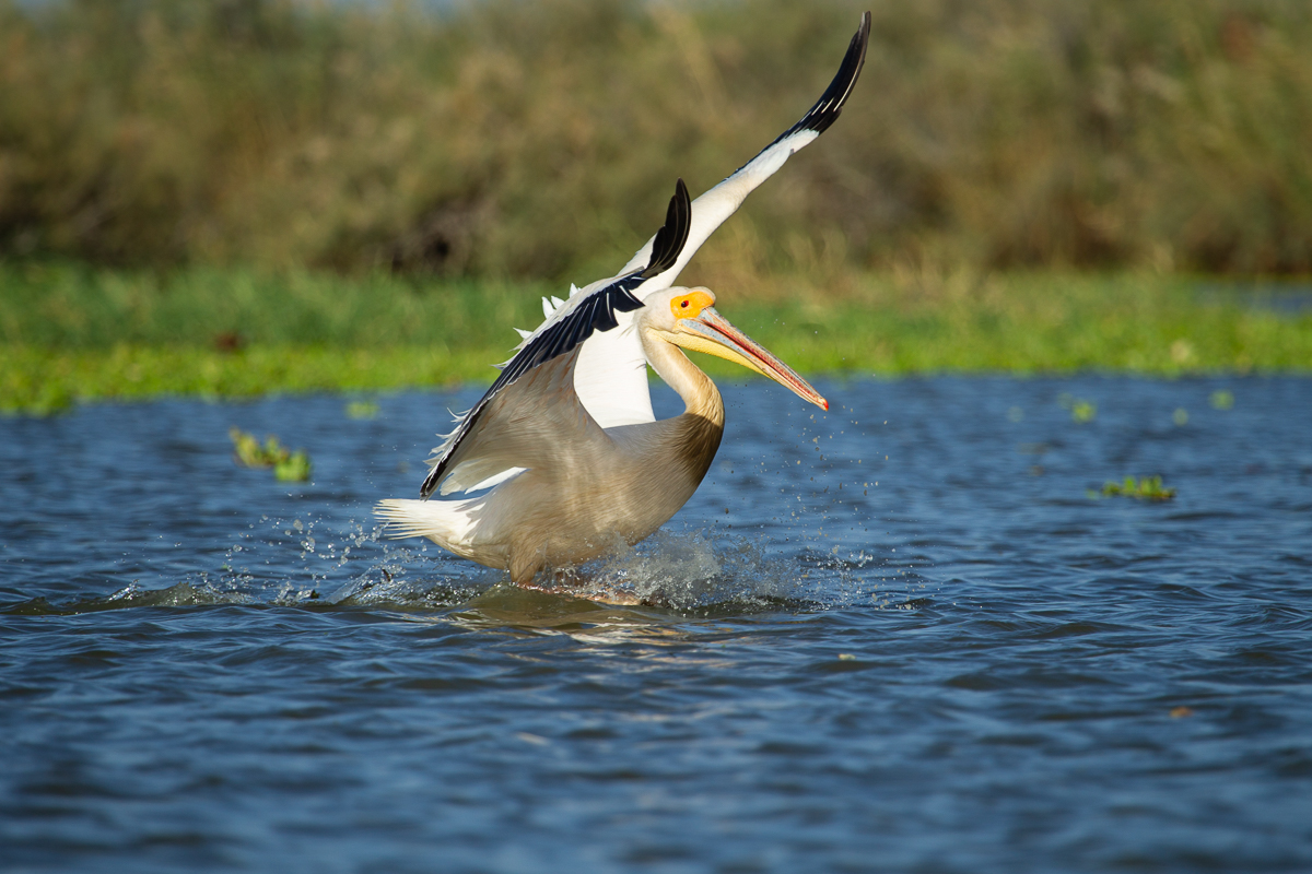 Préparez votre venue au Forum en toute sérénité !